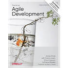 James Shore, Shane Warden: The Art of Agile Development