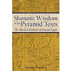 Jeremy Naydler: Shamanic Wisdom in the Pyramid Texts