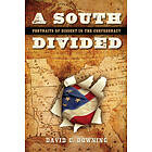 David C Downing: A South Divided