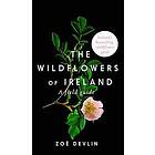 Zoe Devlin: The Wildflowers of Ireland