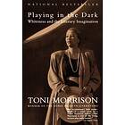 Toni Morrison: Playing In The Dark