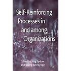J Sydow, G Schreyoegg: Self-Reinforcing Processes in and among Organizations