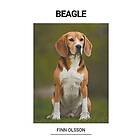 Finn Olsson: Beagle