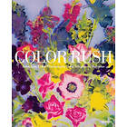 Katherine A Bussard, Lisa Hostetler: Color Rush