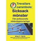 Allan P Sand: Trevallars Carambole Sicksack Mönster: Från Professionella Mästerskapsturneringar