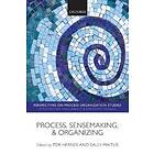 Tor Hernes: Process, Sensemaking, and Organizing