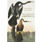 John James Audubon: The Birds of America