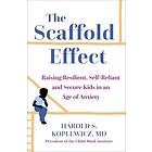 Harold Koplewicz: The Scaffold Effect