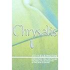 John Elkington: The Chrysalis Economy