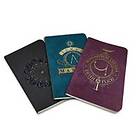 Insight Editions: Harry Potter: Spells Pocket Notebook Collection (Set of 3)