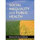 Salvatore J Babones: Social inequality and public health