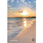 Len Sperry: Spirituality in Clinical Practice