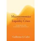 Guillermo A Calvo: Macroeconomics in Times of Liquidity Crises