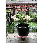 Dr Stephen Skinner: Advanced Flying Star Feng Shui