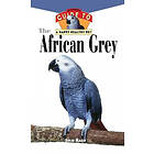 Julie Ann Rach: The African Grey