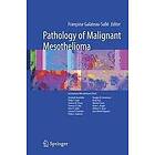 Francoise Galateau-Salle: Pathology of Malignant Mesothelioma