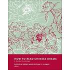 Patricia Sieber, Regina Llamas: How to Read Chinese Drama