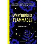Gabrielle Bell: Everything is Flammable