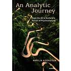 Marilia Aisenstein: An Analytic Journey