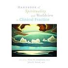 Allan M Josephson, John R Peteet: Handbook of Spirituality and Worldview in Clinical Practice