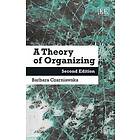 Barbara Czarniawska: A Theory of Organizing