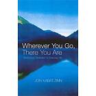 Jon Kabat-Zinn: Wherever You Go, There Are