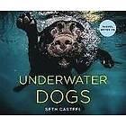 Seth Casteel: Underwater Dogs