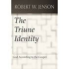 Robert W Jenson: The Triune Identity: God According to the Gospel