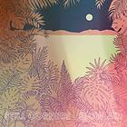 Still Corners Slow Air LP