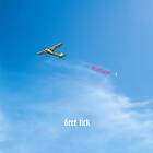Deer Tick Negativity LP