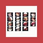 The Cradle Laughing In My Sleep LP