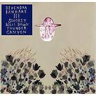 Devendra Banhart Smokey Rolls Down Thunder Canyon LP