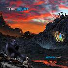 True False LP