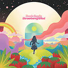 Jessie Baylin Strawberry Wind LP