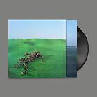 Squid Green Field LP