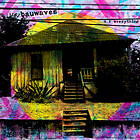 Bauwaves U R Everything LP