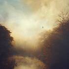 Stray Theories This Light LP