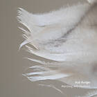 Rob Marching With Feathers LP