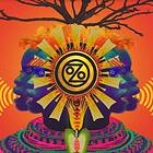 Ozomatli Marching On Limited Edition LP