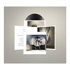 Brian Foreverandevernomore LP