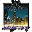 High Spirits - Another Night In The City Limited Edition LP