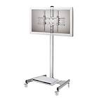 NewStar PLASMA-M1600
