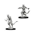 Dungeons & Dragons Nolzur's Marvelous Unpainted Miniatures (W5) Tiefling Male Ro