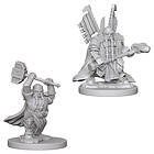 D&D Nolzur's Marvelous Unpainted Miniatures (W5) Dwarf Male Paladin