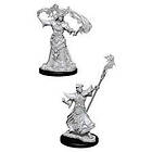 Pathfinder Battles Deep Cuts Unpainted Miniatures (W11) Male Human Sorcerer