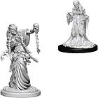 Dungeons & Dragons Nolzur's Marvelous Unpainted Miniatures Green Hag & Night Hag