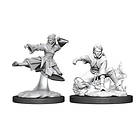 Dungeons & Dragons Nolzur's Marvelous Unpainted Miniatures (W11) Female Human Mo