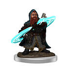Pathfinder Painted Premium Male Dwarf Sorcerer