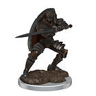 D&D Icons of the Realms Premium Figures (W7) Male Warforged Fighter
