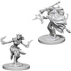 Dungeons & Dragons Nolzur's Marvelous Unpainted Miniatures Female Tiefling Warlo